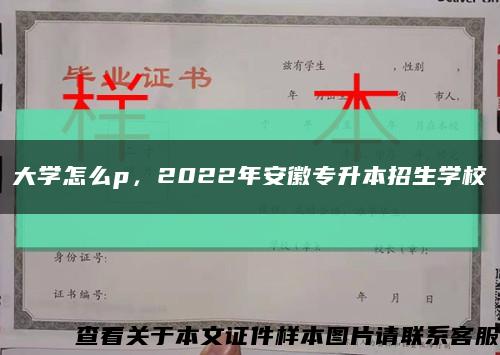 大學怎么p，2022年安徽專升本招生學?？s略圖