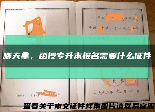 哪天拿，函授專升本報名需要什么證件縮略圖