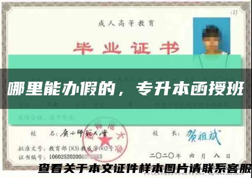 哪里能辦假的，專升本函授班縮略圖