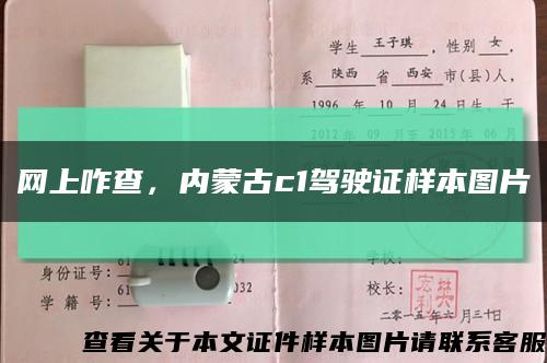 網上咋查，內蒙古c1駕駛證樣本圖片縮略圖