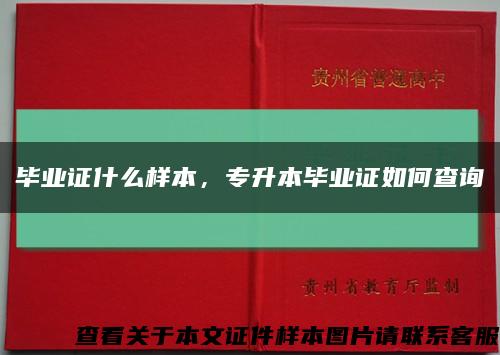 畢業證什么樣本，專升本畢業證如何查詢縮略圖
