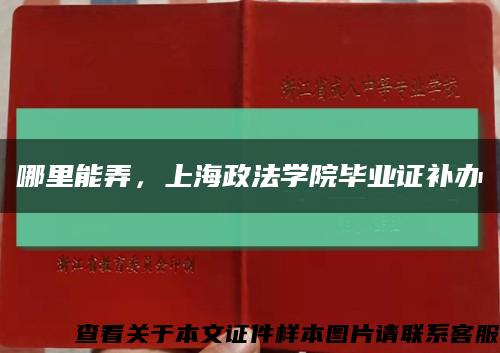 哪里能弄，上海政法學院畢業證補辦縮略圖