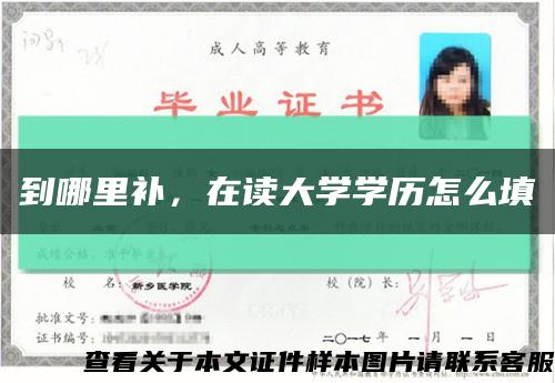 到哪里補，在讀大學學歷怎么填縮略圖