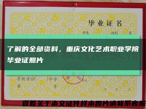 了解的全部資料，重慶文化藝術職業學院畢業證照片縮略圖