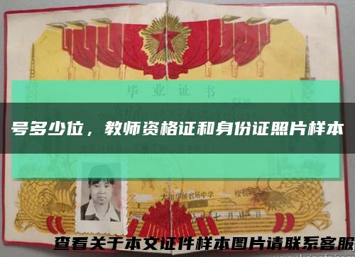 號多少位，教師資格證和身份證照片樣本縮略圖
