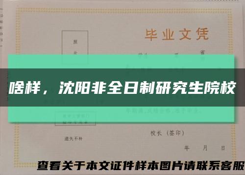 啥樣，沈陽非全日制研究生院?？s略圖