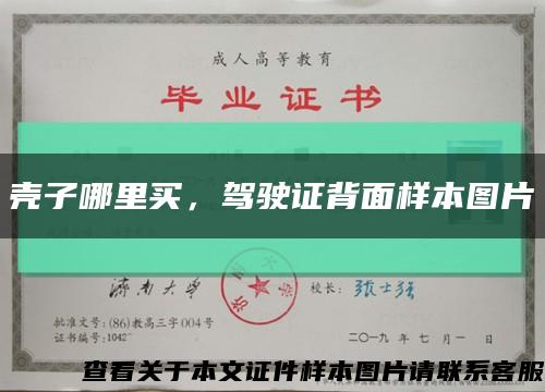 殼子哪里買，駕駛證背面樣本圖片縮略圖