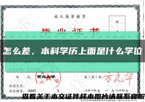 怎么差，本科學歷上面是什么學位縮略圖