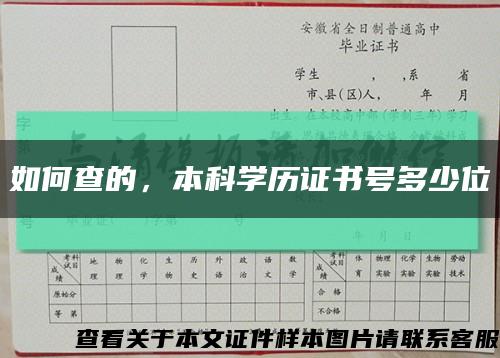 如何查的，本科學歷證書號多少位縮略圖