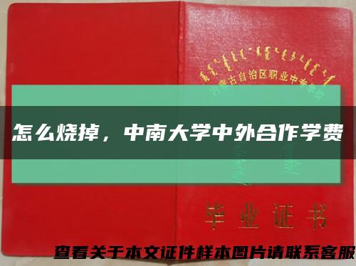 怎么燒掉，中南大學中外合作學費縮略圖