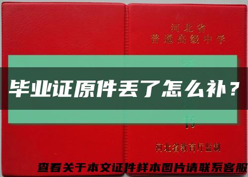 畢業證原件丟了怎么補？縮略圖