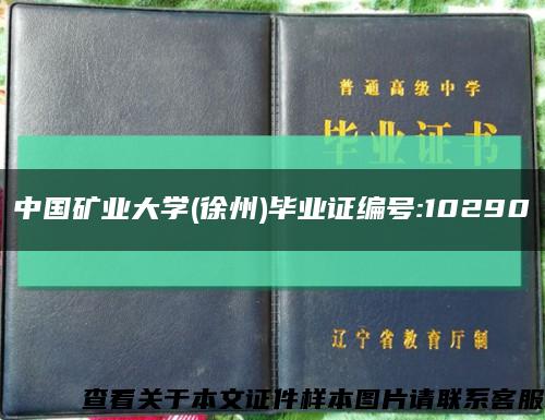 中國礦業大學(徐州)畢業證編號:10290縮略圖