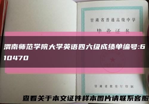 渭南師范學院大學英語四六級成績單編號:610470縮略圖