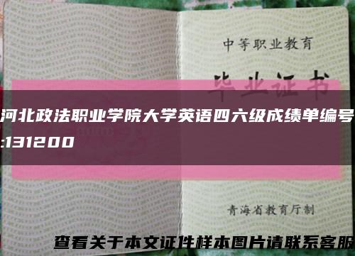 河北政法職業學院大學英語四六級成績單編號:131200縮略圖