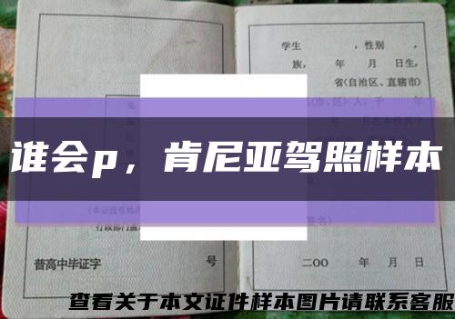 誰會p，肯尼亞駕照樣本縮略圖