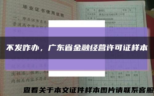 不發咋辦，廣東省金融經營許可證樣本縮略圖
