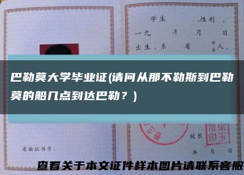 巴勒莫大學畢業證(請問從那不勒斯到巴勒莫的船幾點到達巴勒？)縮略圖