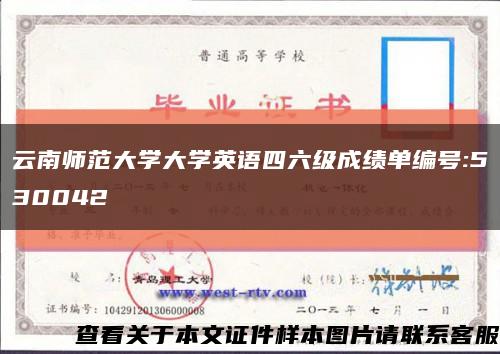 云南師范大學大學英語四六級成績單編號:530042縮略圖