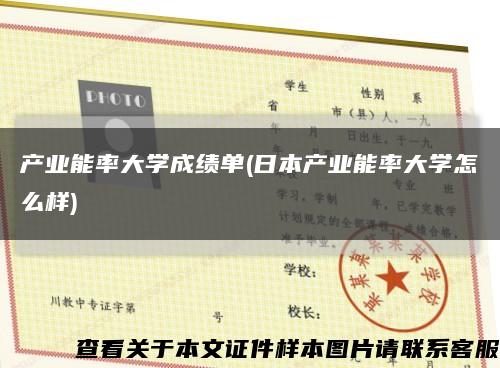 產業能率大學成績單(日本產業能率大學怎么樣)縮略圖