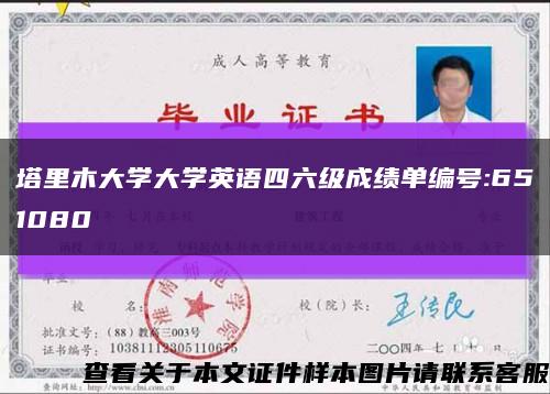 塔里木大學大學英語四六級成績單編號:651080縮略圖