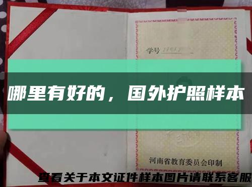 哪里有好的，國外護照樣本縮略圖