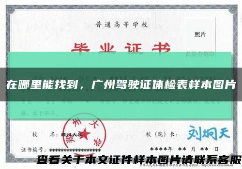 在哪里能找到，廣州駕駛證體檢表樣本圖片縮略圖