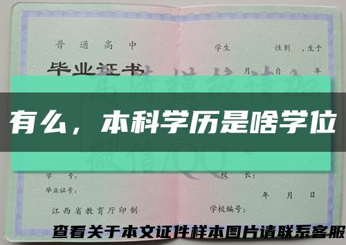 有么，本科學歷是啥學位縮略圖