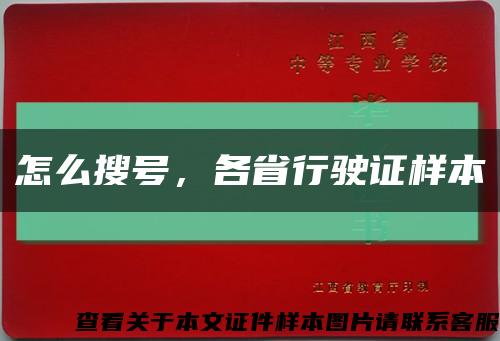 怎么搜號，各省行駛證樣本縮略圖