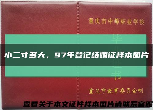 小二寸多大，97年登記結婚證樣本圖片縮略圖
