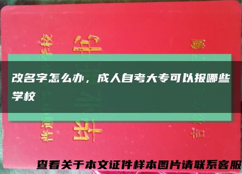 改名字怎么辦，成人自考大?？梢詧竽男W?？s略圖