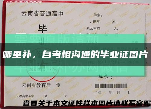 哪里補，自考相溝通的畢業證圖片縮略圖