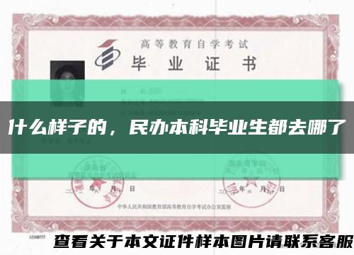 什么樣子的，民辦本科畢業生都去哪了縮略圖