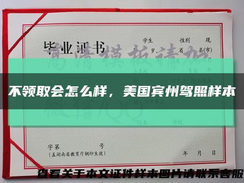 不領取會怎么樣，美國賓州駕照樣本縮略圖