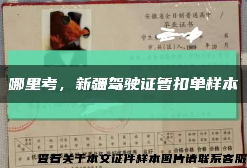哪里考，新疆駕駛證暫扣單樣本縮略圖