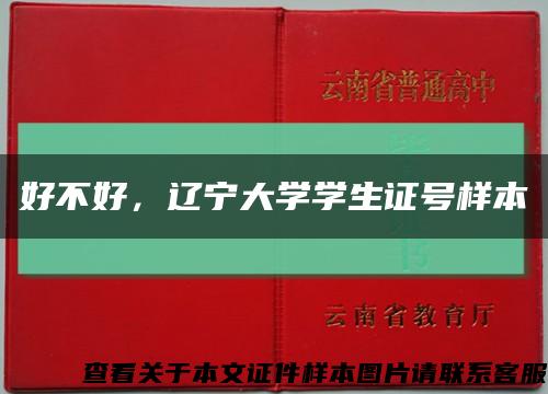 好不好，遼寧大學學生證號樣本縮略圖
