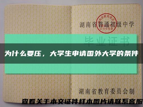 為什么要壓，大學生申請國外大學的條件縮略圖