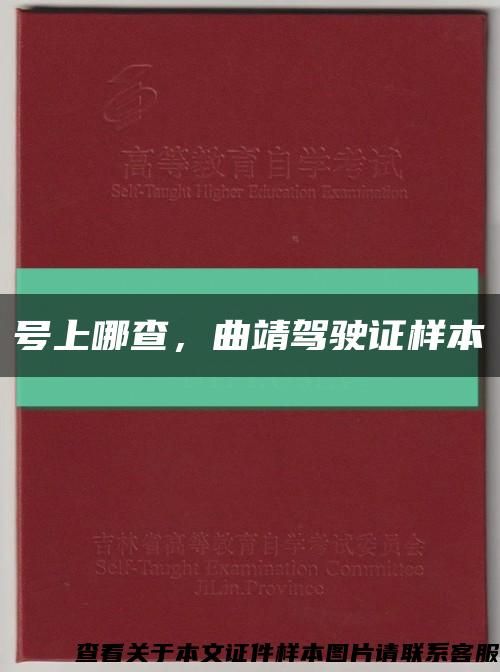 號上哪查，曲靖駕駛證樣本縮略圖