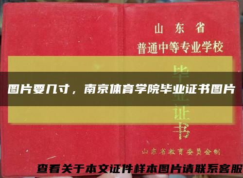 圖片要幾寸，南京體育學院畢業證書圖片縮略圖