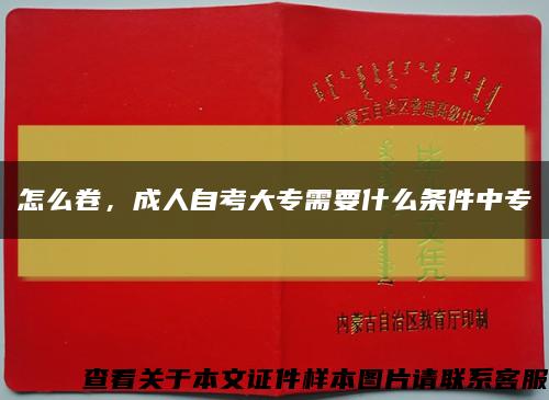 怎么卷，成人自考大專需要什么條件中?？s略圖