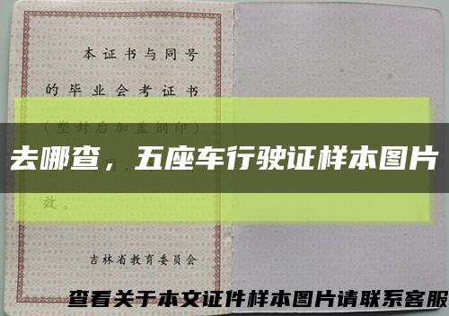 去哪查，五座車行駛證樣本圖片縮略圖