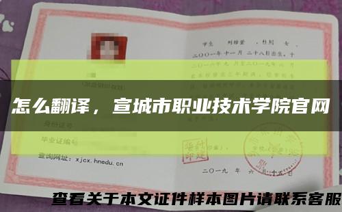 怎么翻譯，宣城市職業技術學院官網縮略圖