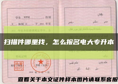掃描件哪里找，怎么報名電大專升本縮略圖