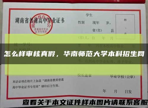 怎么樣審核真假，華南師范大學本科招生網縮略圖