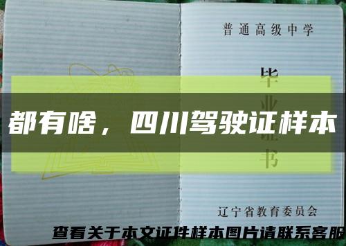 都有啥，四川駕駛證樣本縮略圖