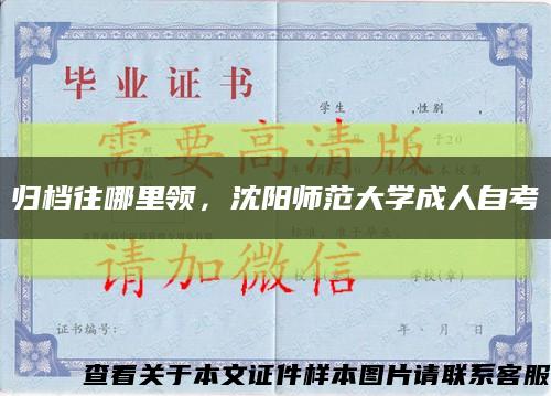 歸檔往哪里領，沈陽師范大學成人自考縮略圖