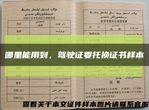 哪里能用到，駕駛證委托換證書樣本縮略圖