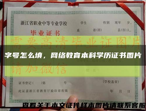 字號怎么填，網絡教育本科學歷證書圖片縮略圖