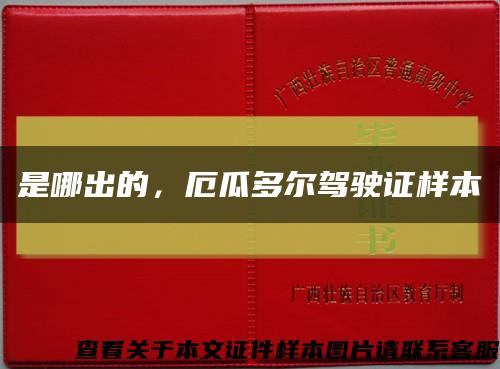 是哪出的，厄瓜多爾駕駛證樣本縮略圖