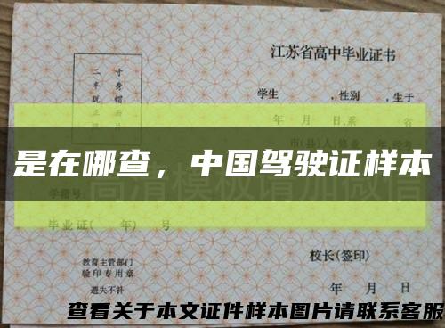 是在哪查，中國駕駛證樣本縮略圖