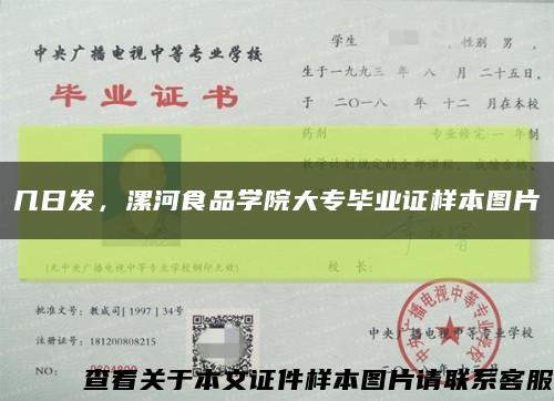 幾日發，漯河食品學院大專畢業證樣本圖片縮略圖
